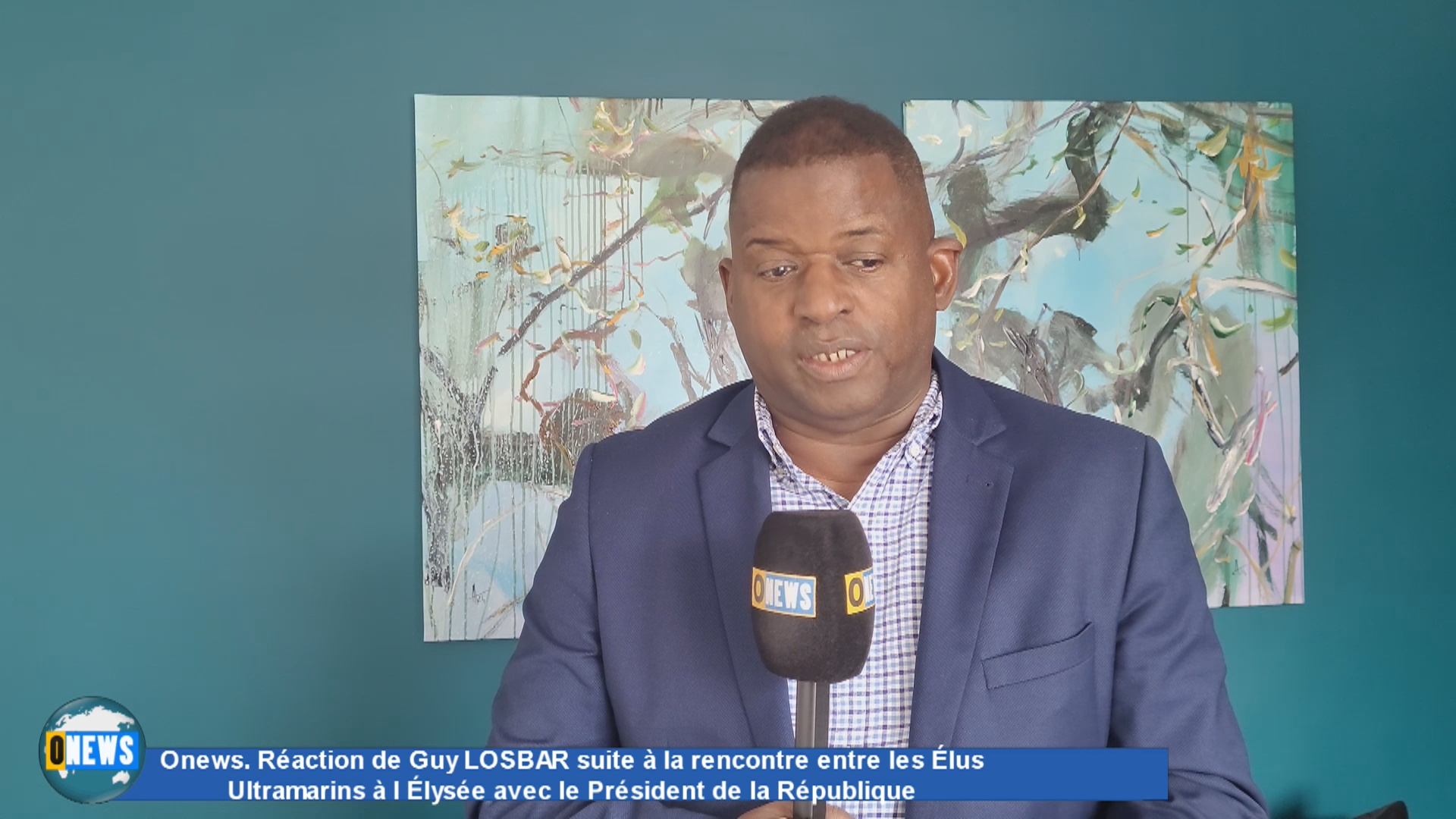 Réaction de Guy LOSBAR Président du Conseil départemental Guadeloupe suite à la réunion à l Élysée avec le Président de la République