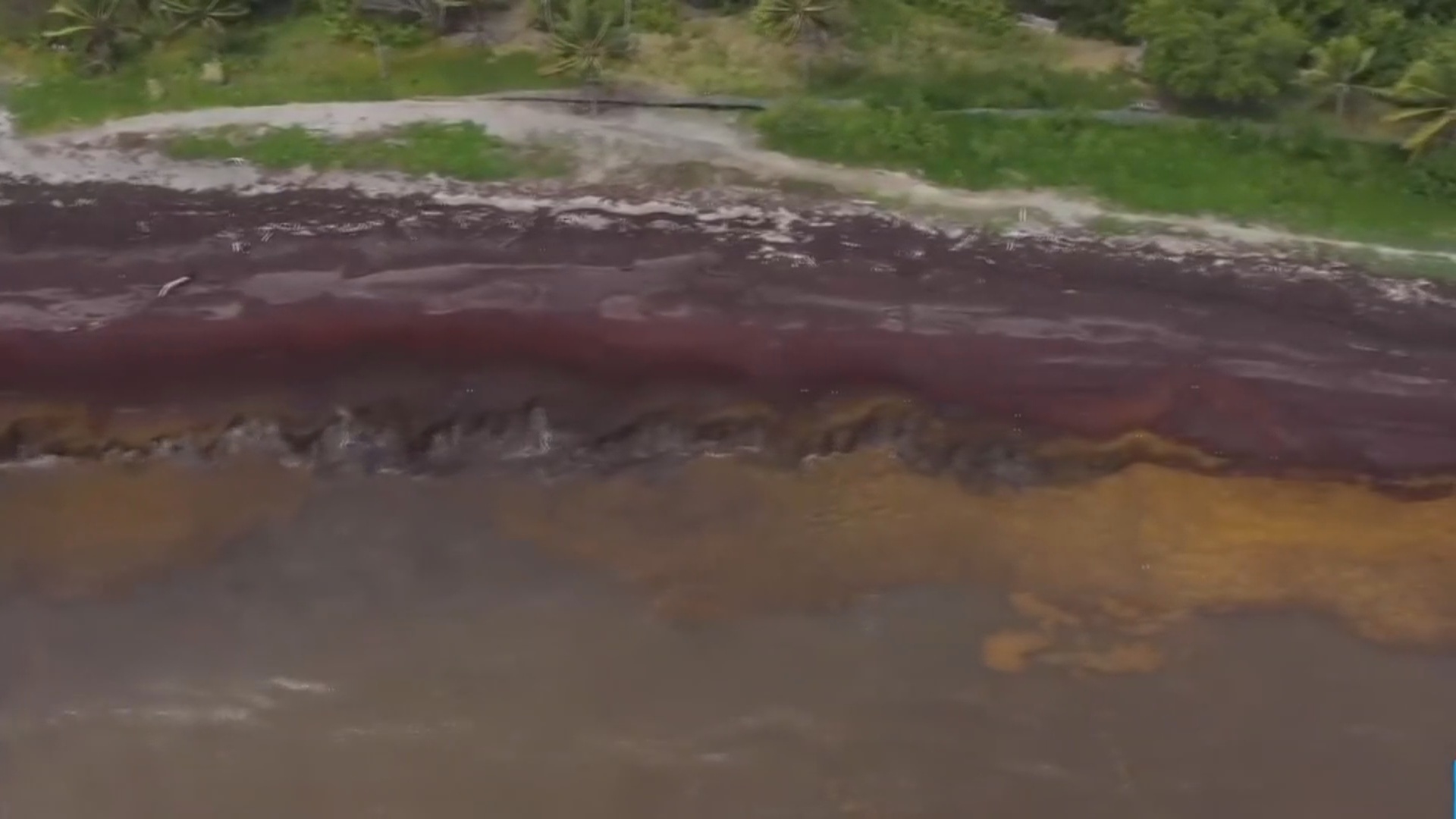 Onews Martinique jt kmt